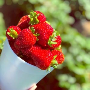 Meet your Posher, Melissa